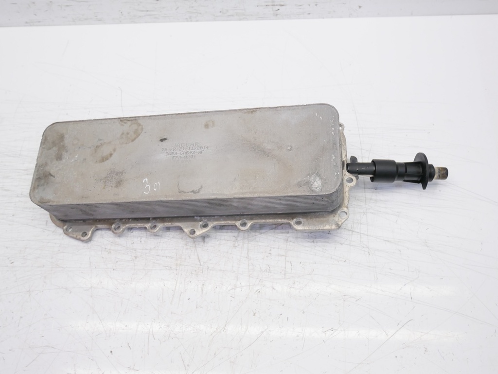 MTD-429983-1