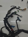 MTD-507565-7