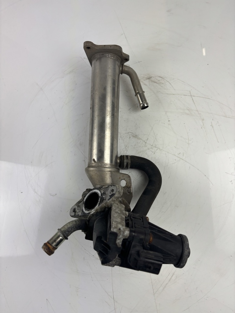 MTD-438715-1