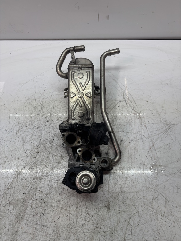 MTD-481243-1