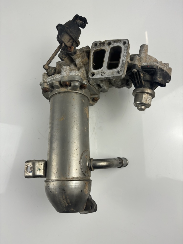 MTD-438181-1
