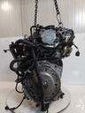 MTD-517513-1
