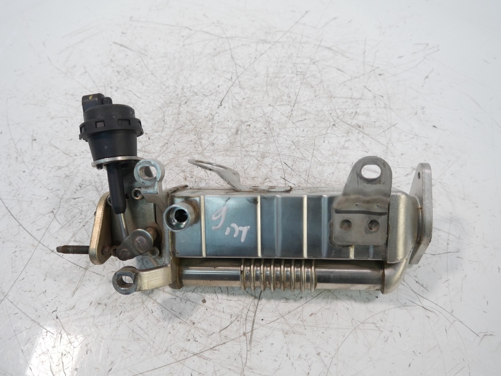 MTD-491338-1