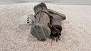 MTD-509048-1