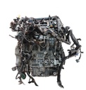 MTD-442617-2