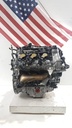 MTD-486921-1