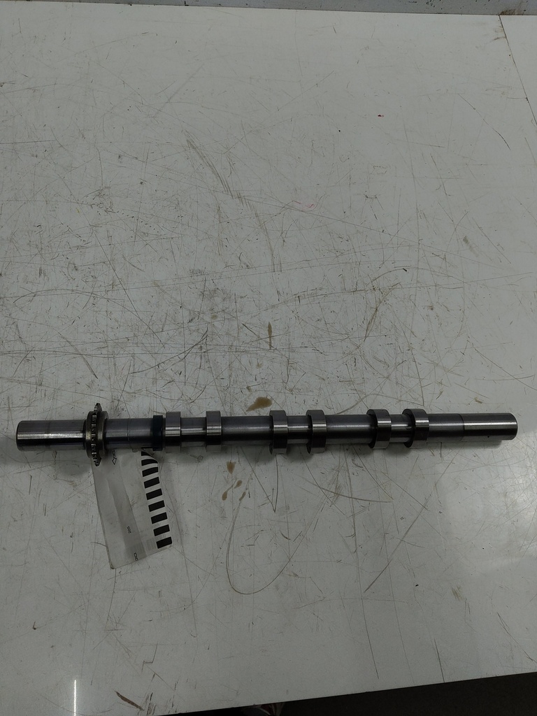 MTD-513619-1
