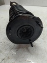 MTD-514958-1