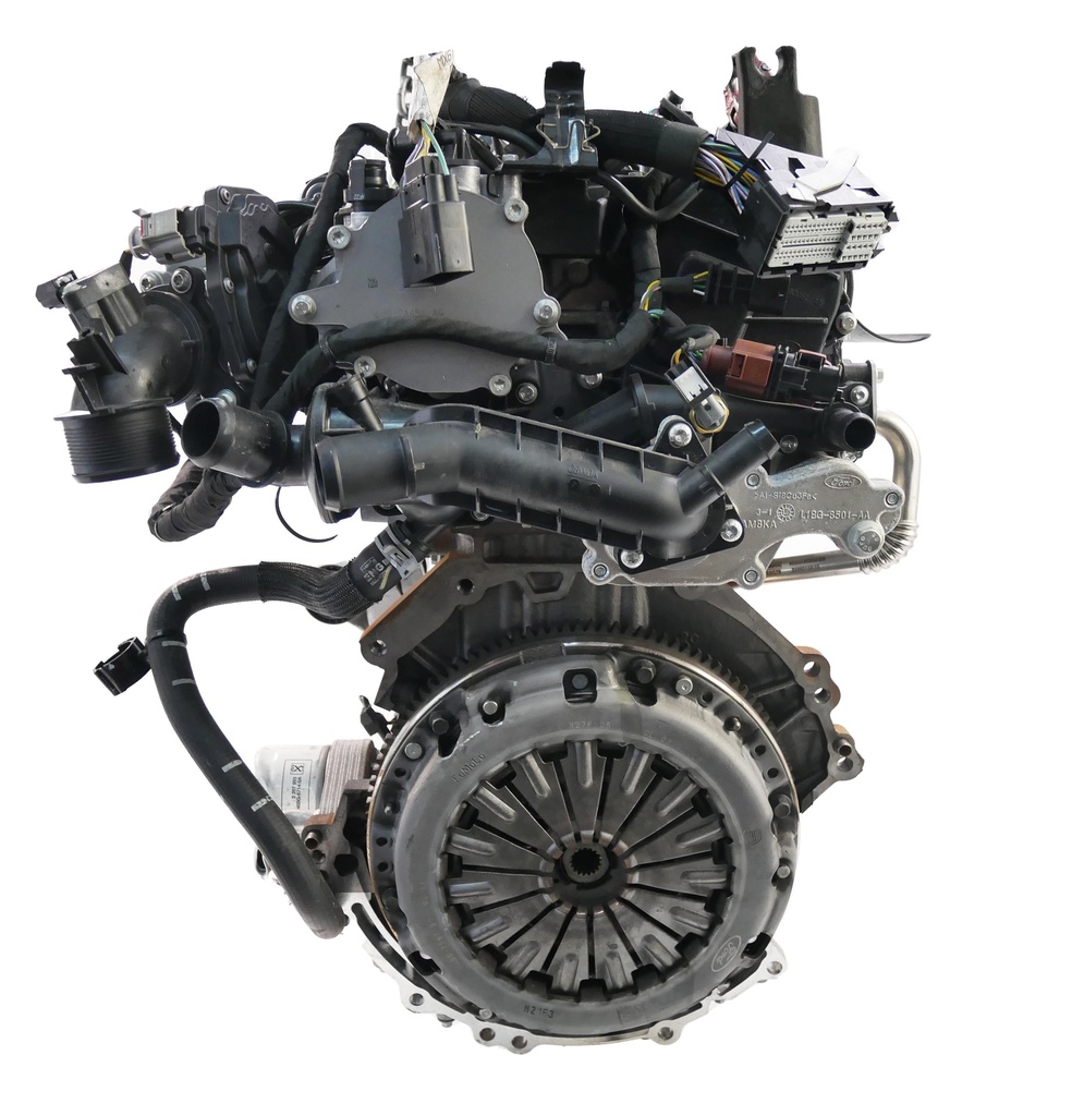 MTD-425679-2