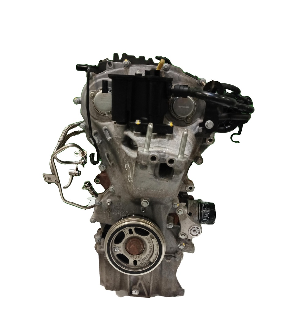 MTD-429545-1