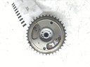MTD-539837-2