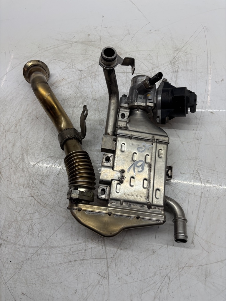 MTD-443609-1