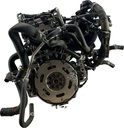 MTD-445654-1