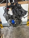MTD-524387-2