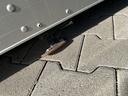 MTD-503779-25