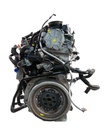 MTD-446233-2