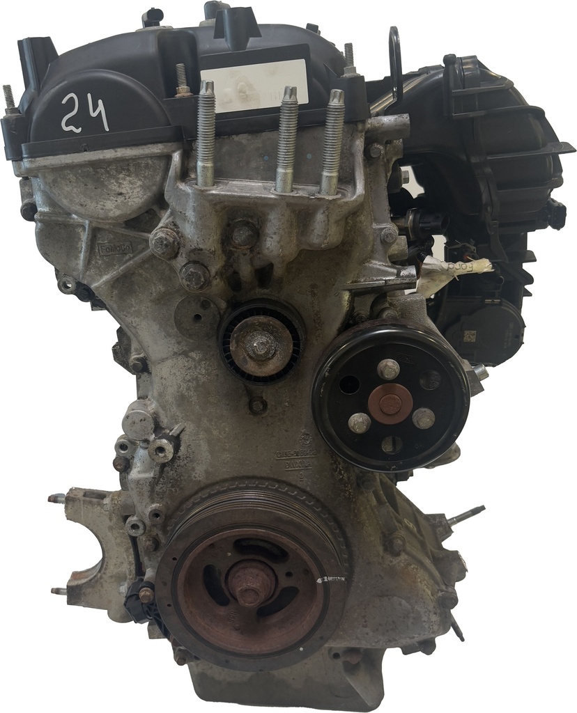 MTD-466496-3