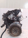 MTD-529224-2