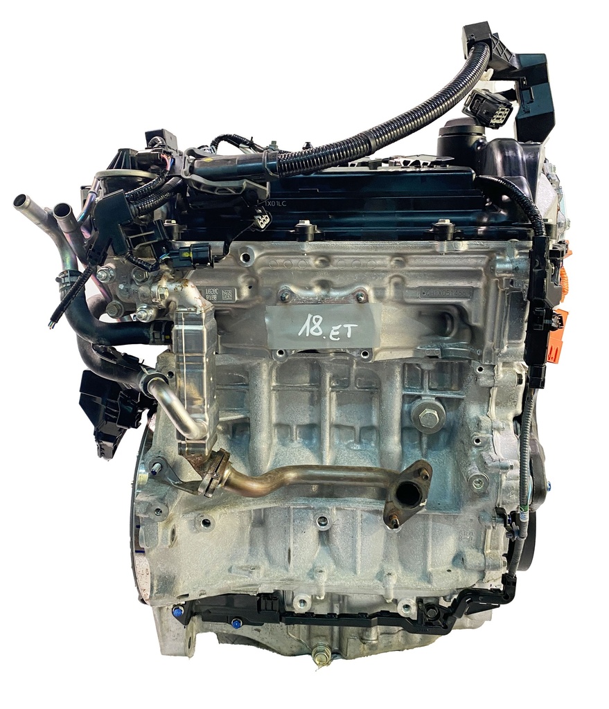 MTD-397551-1