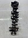 MTD-497236-4