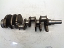 MTD-391568-1