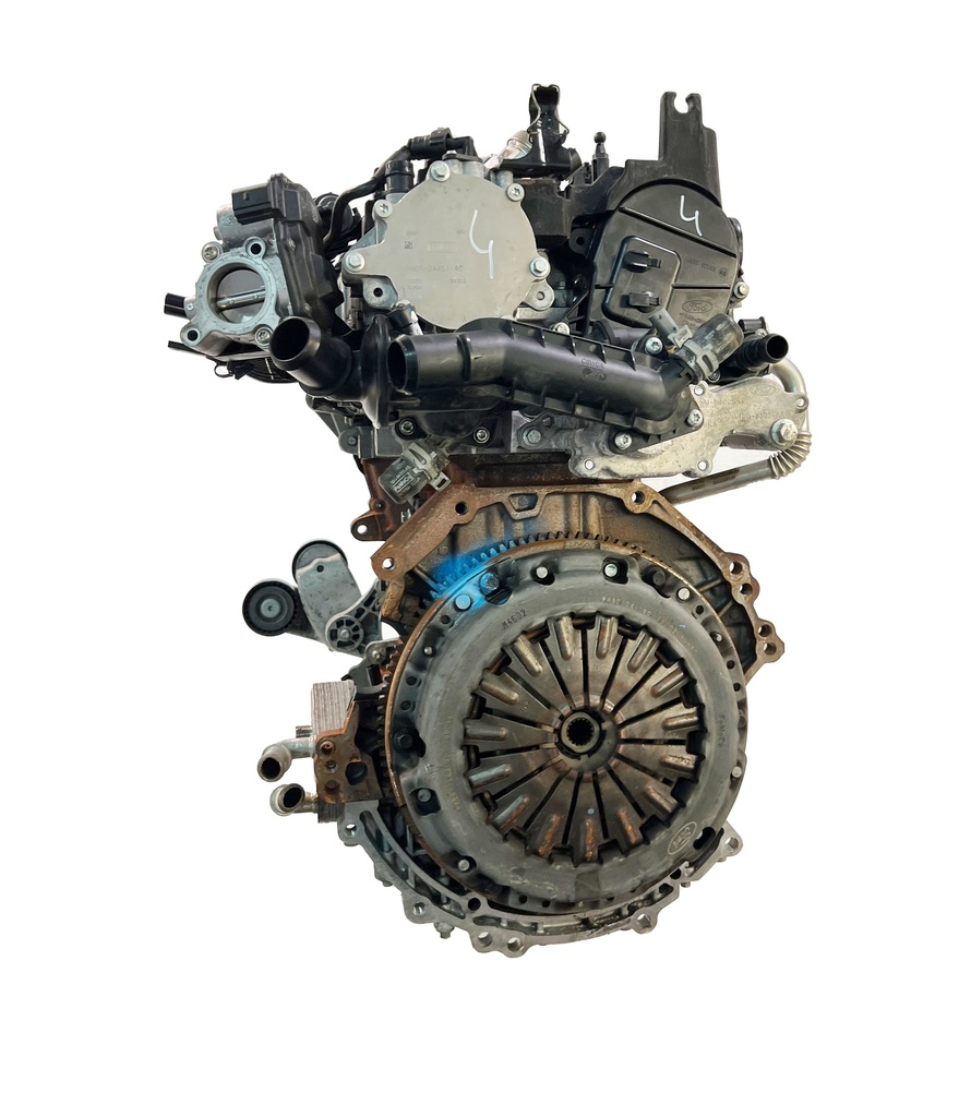 MTD-404055-4