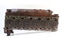 MTD-19575-6