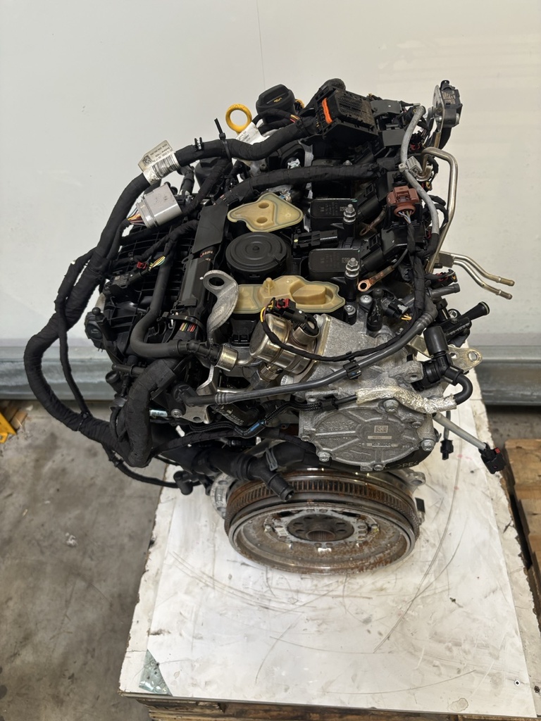 MTD-499948-1