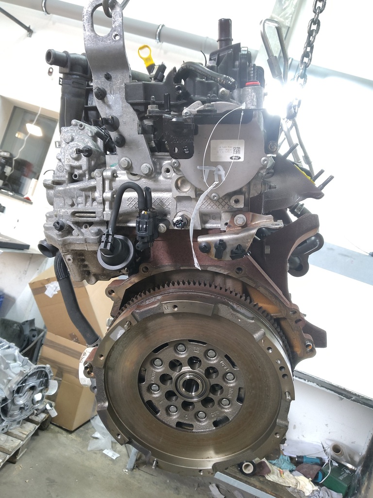 MTD-534541-1