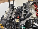 MTD-534173-1