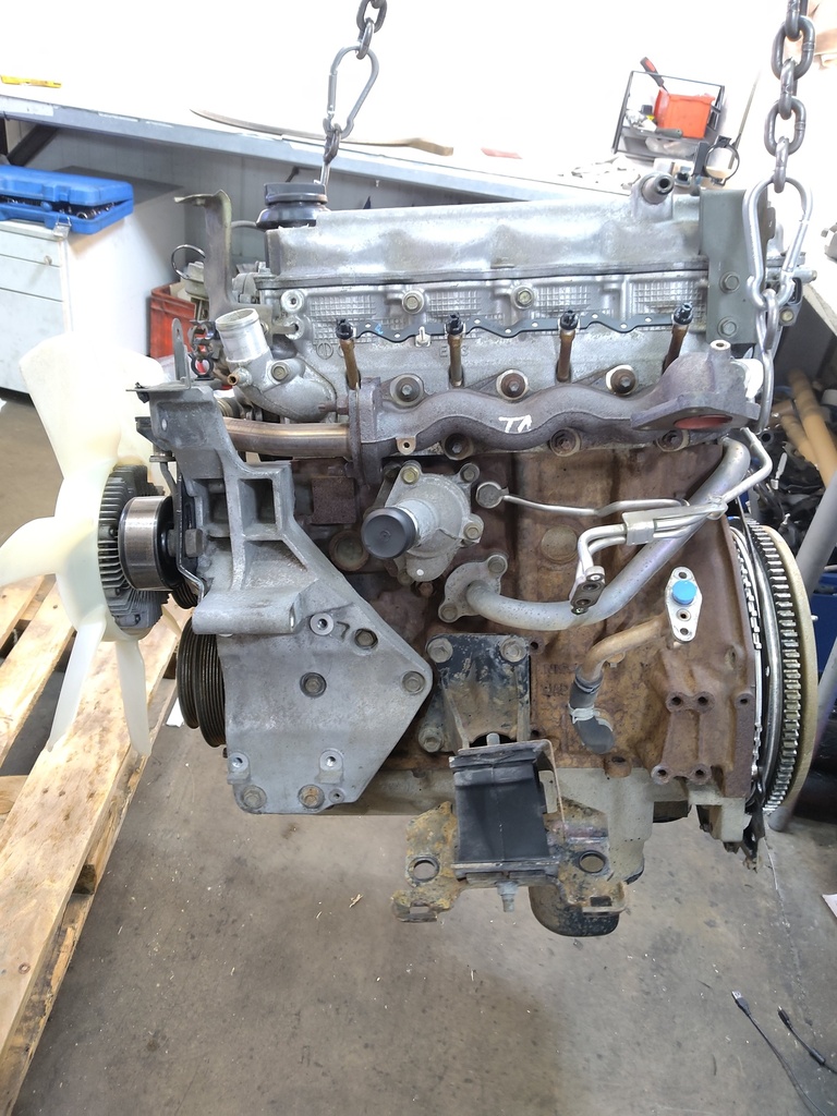 MTD-534229-1