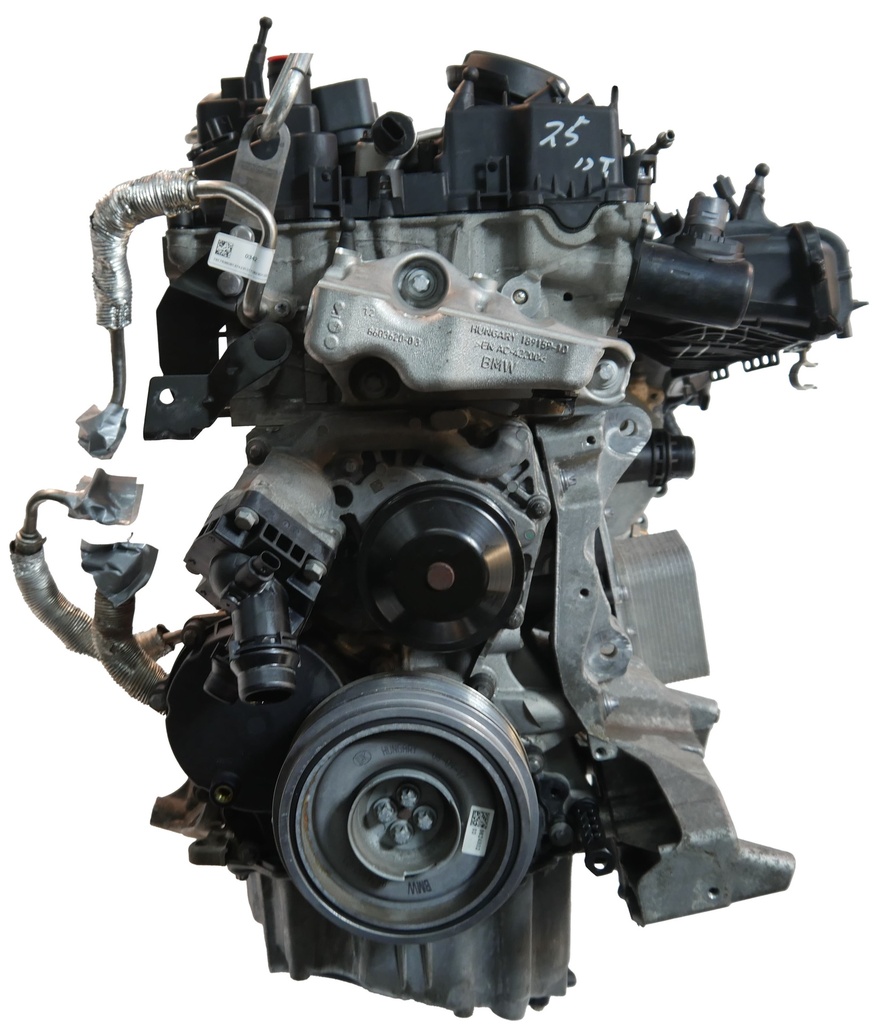 MTD-493368-3