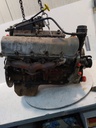 MTD-516342-3