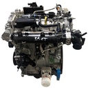 MTD-504860-1