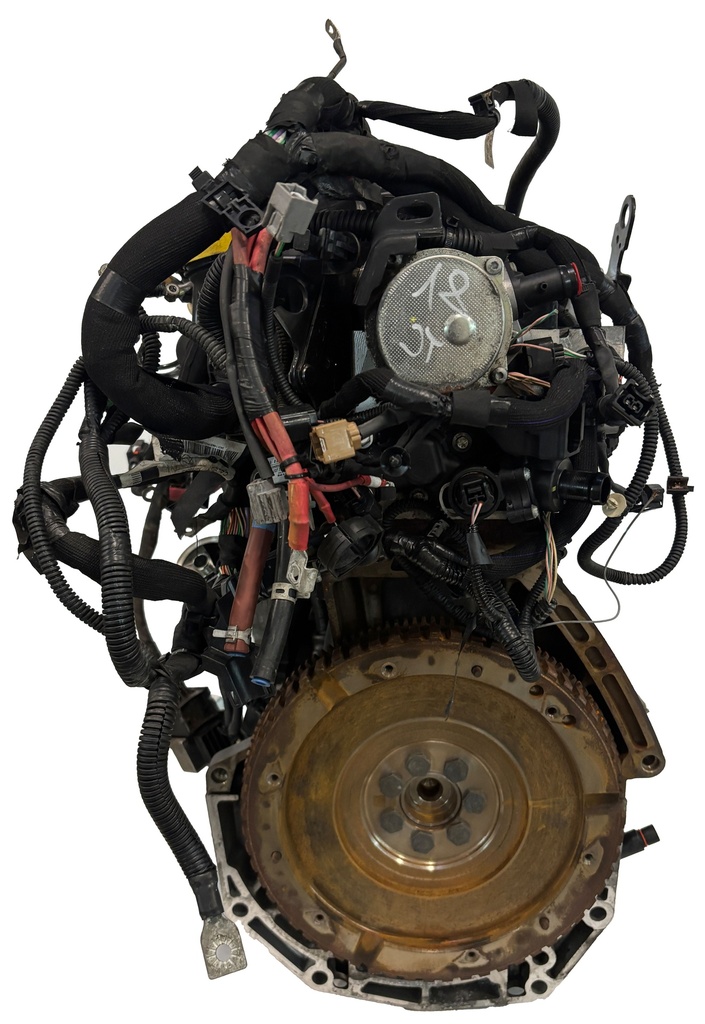 MTD-495818-1