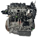 MTD-442566-3