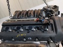 MTD-515349-1