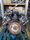MTD-516441-2
