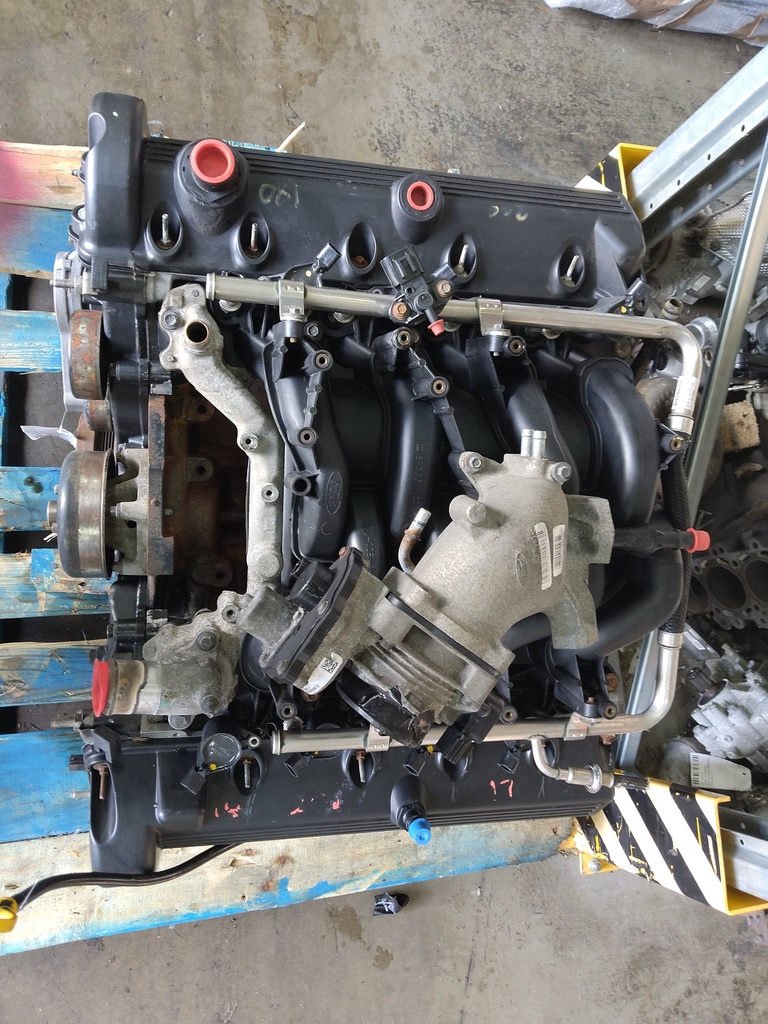 MTD-516441-5