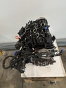 MTD-495620-2
