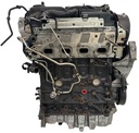 MTD-499315-1