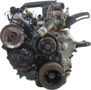 MTD-428008-3