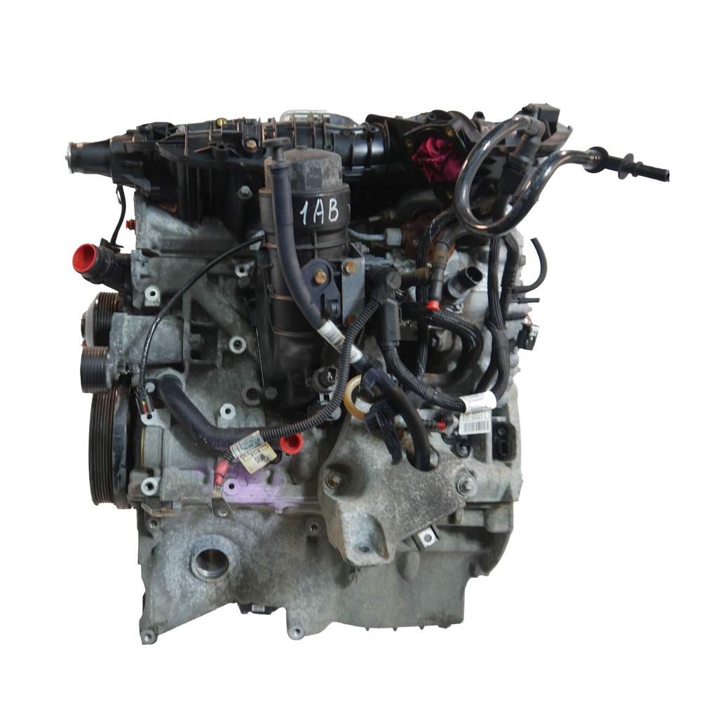 MTD-497186-1