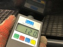 STARK-562758-5