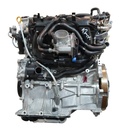 MTD-502785-1