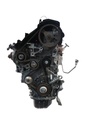 MTD-438659-3
