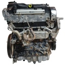 MTD-490313-1