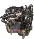MTD-427929-3