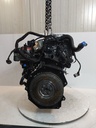 MTD-515951-1