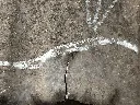 IMG_1379.webp
